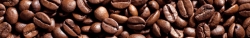 Samanta coffee beans 60 400